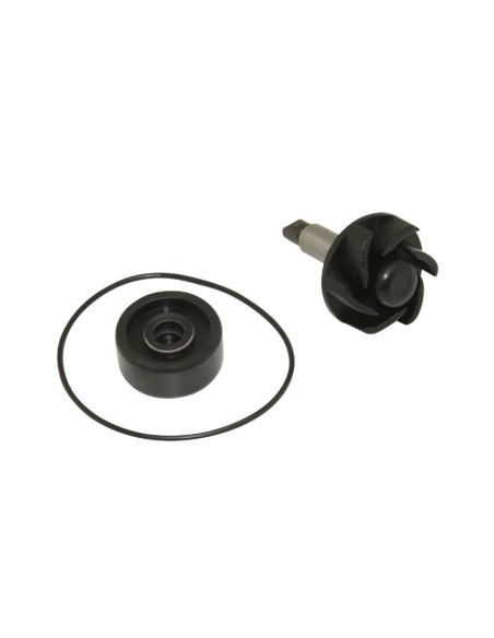 Kit réparation pompe à eau maxiscooter 125 / 250 Yamaha Majesty / MBK Skyliner