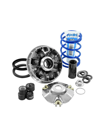 Variateur Hi-Speed POLINI Evolution 2 50 Piaggio Zip Typhoon NRG Liberty Vespa LX Gilera Stalker Runner Ice DNA