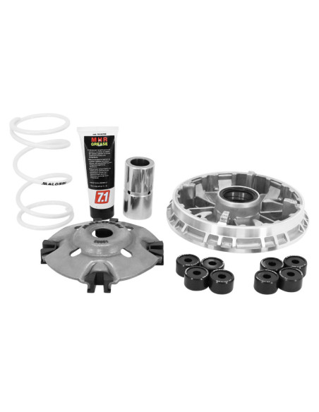 Variateur Multivar 2000 MALOSSI Honda 350 Forza/SH 2021-2022