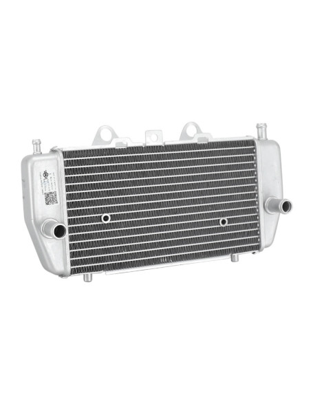 Radiateur origine Piaggio 400 / 530 MP3 2022