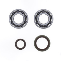 Roulements et joints spis de vilebrequin ATHENA - BETA RR 250 300 2013 - 2022