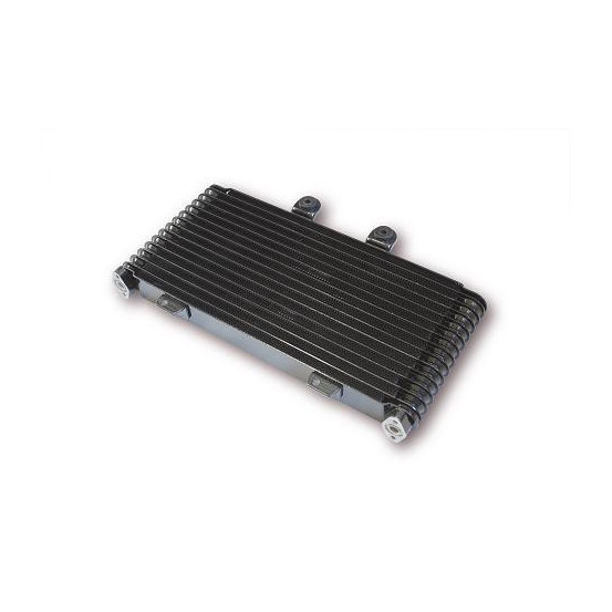 Carter Chaîne Suzuki 750 GSX-R 2000-2003 1000 GSX-R 2000-2002