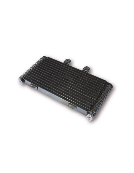 Carter Chaîne Suzuki 750 GSX-R 2000-2003 1000 GSX-R 2000-2002